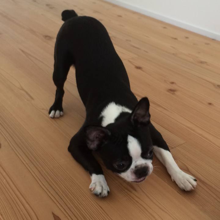 5b2e76e8 1b03 42bd b3ff 0a033674ed11