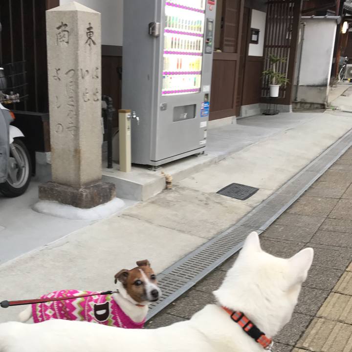 5b2ed158 db54 4ba9 9781 fcb320ad4ae9