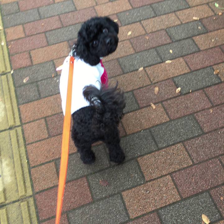 5b2ed166 854b 4894 adbe c80f944d27b8