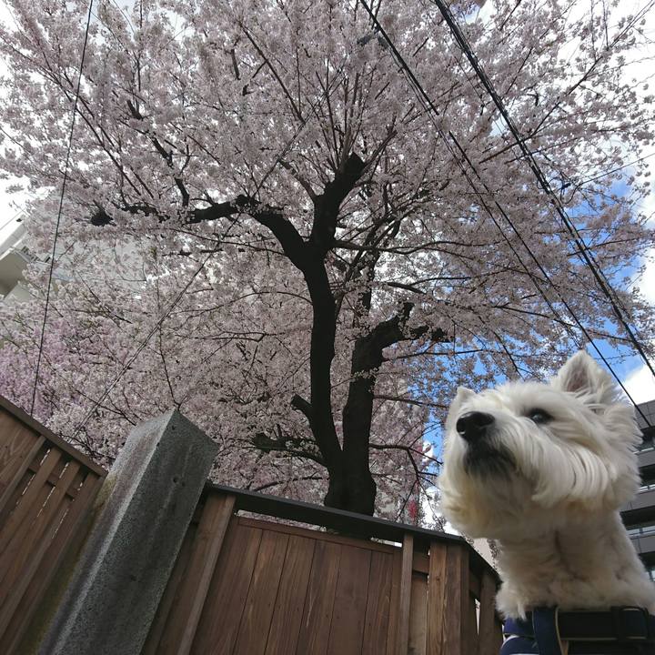 5b2edde9 7f66 4851 bd77 9aa7936969e7