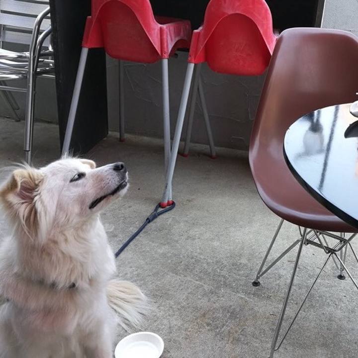 5b305d51 2395 4d5c be50 bd51138d343e