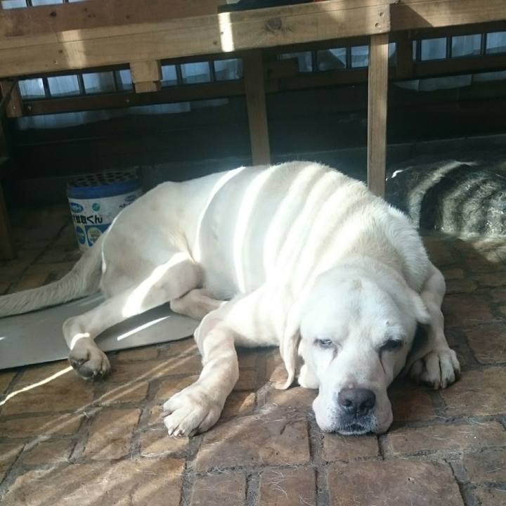 5b30725b 2391 45ac ad02 f1b367823348