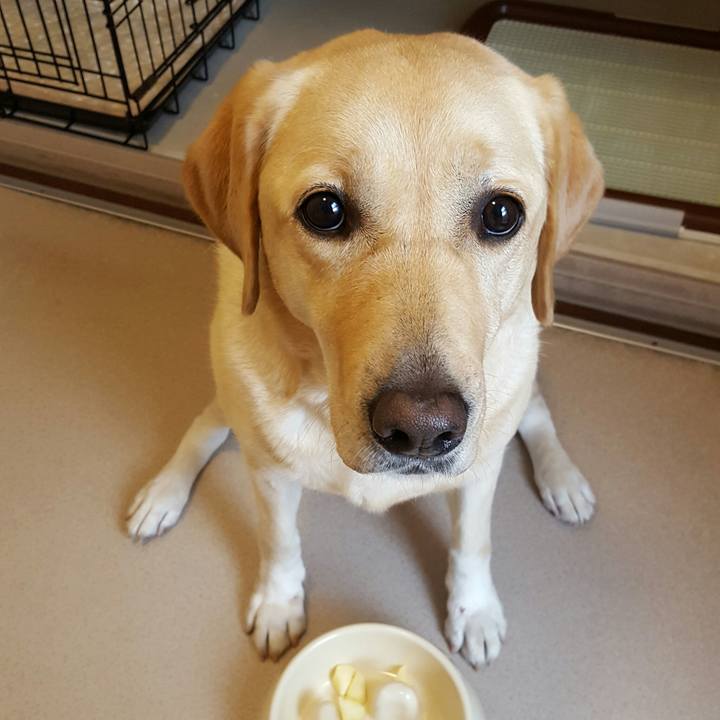 5b3154d0 7907 4517 928e d4b039447566