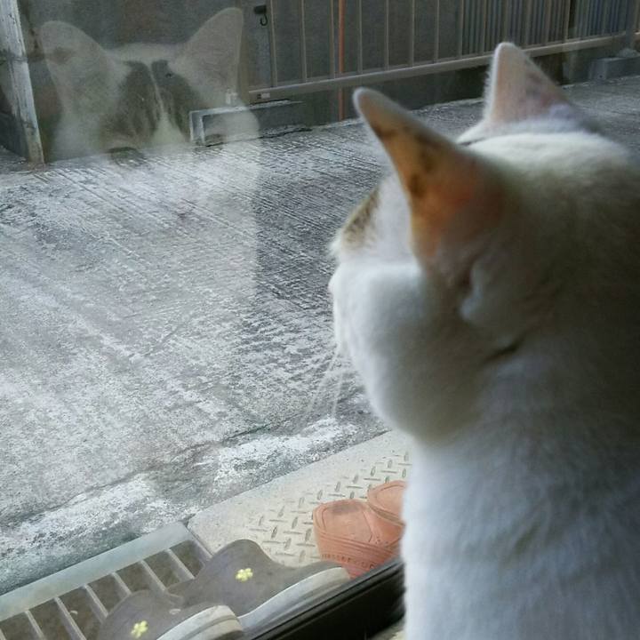 5b319196 cb80 4b8f b91b 32065d7d20f3