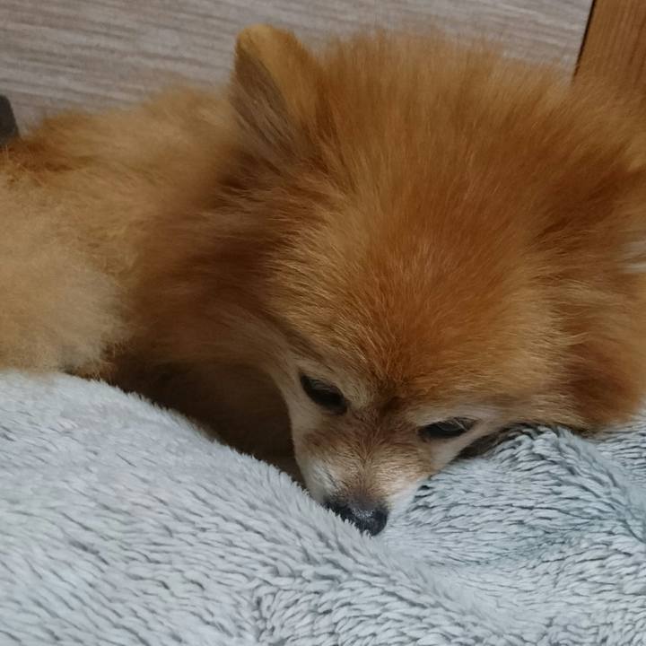 5b31dc6c 3fdb 4d4b aaa7 b6a74bb091fc