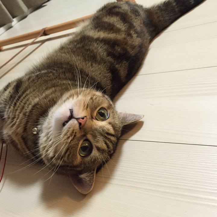 5b3201aa 2a89 4740 aa96 57c4c175e295