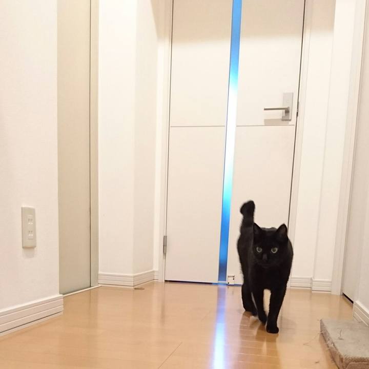 5b32b6ba 952d 4d50 98f6 bfdd8f34af9b