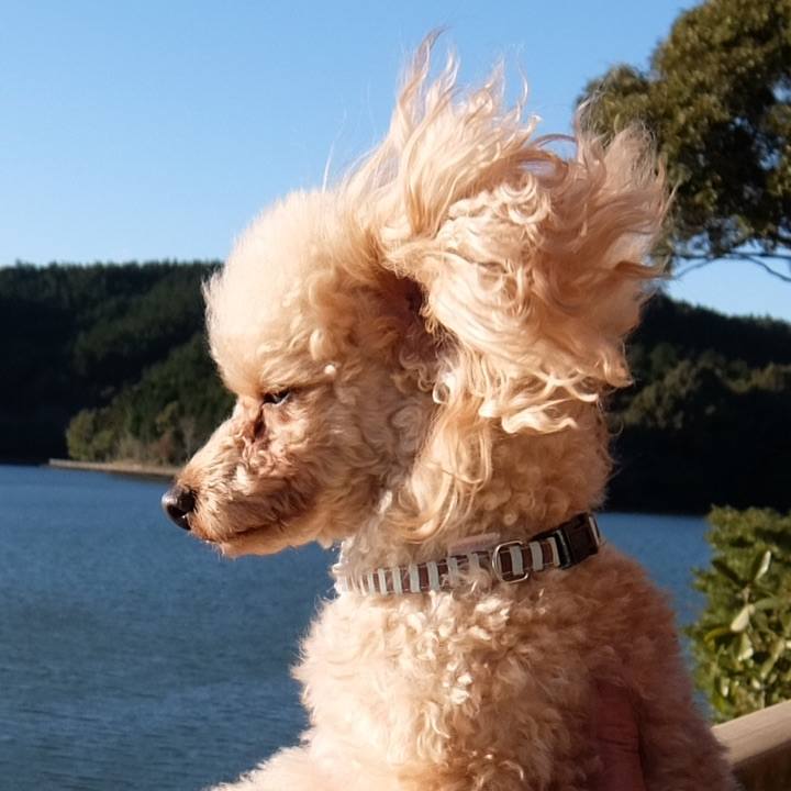 5b330f13 0551 4ce4 801f 4a9efff7232a