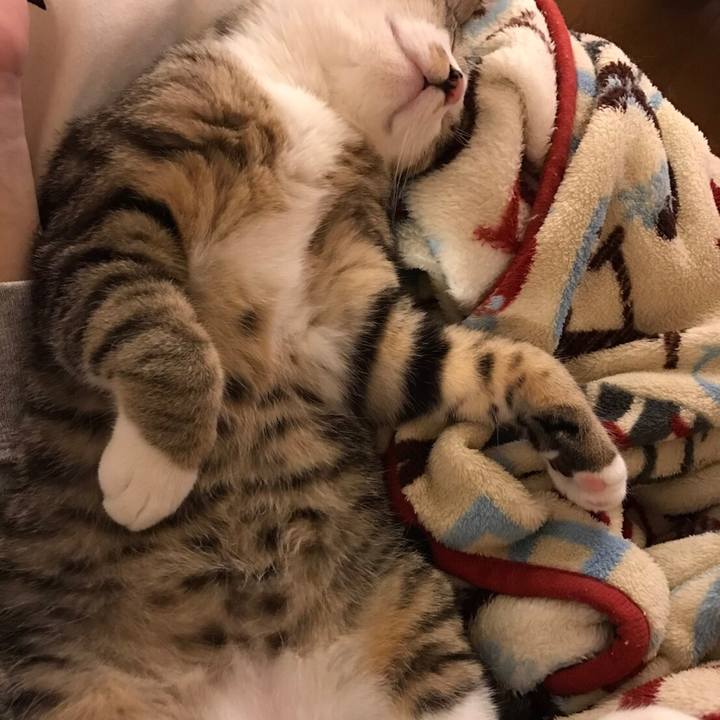 5b342199 910f 43a3 9787 c222be4e8515