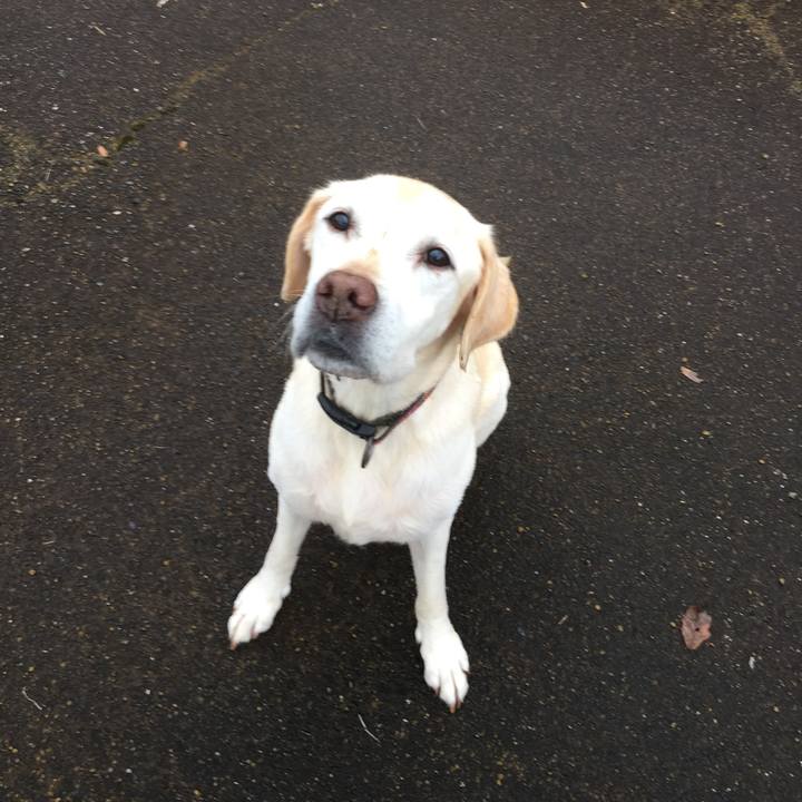 5b348eb5 cb57 4567 9c9b 37d03d66aefa