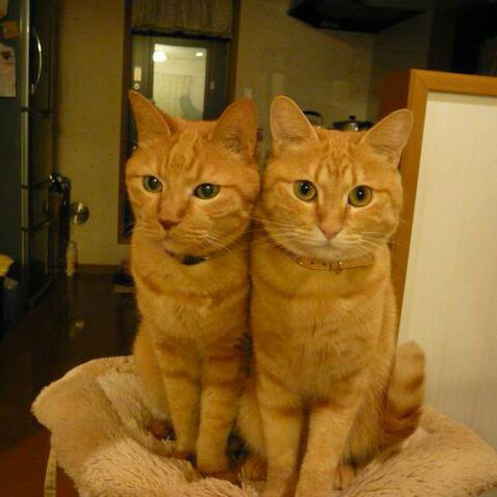 5b34f729 9c5e 4eb1 ba47 e732ad8cf245