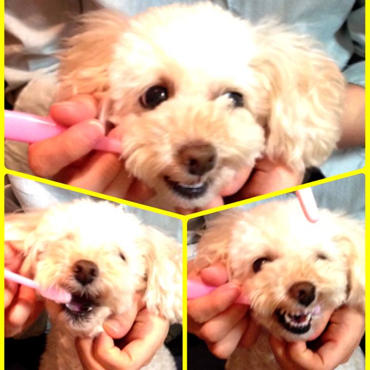 5b35c91d 02fb 4e84 ae4a 231b789227ec