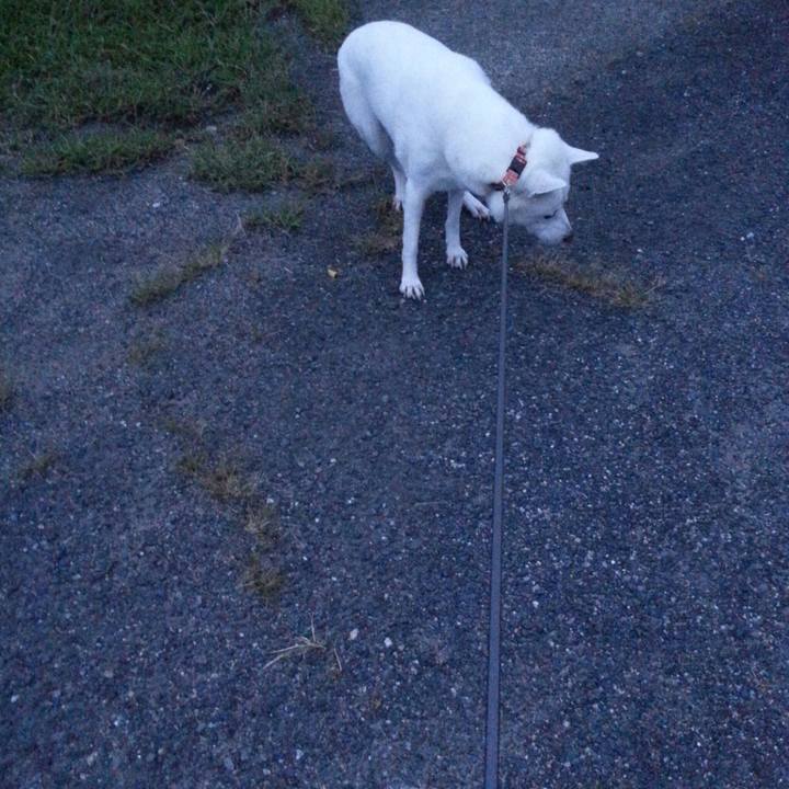 5b35dacf 0886 4a52 8cf2 d553e2e621ed