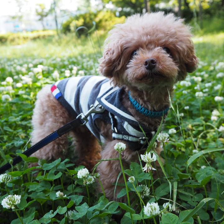 5b361afc 0383 4e8e 80f7 cc073fc4352f