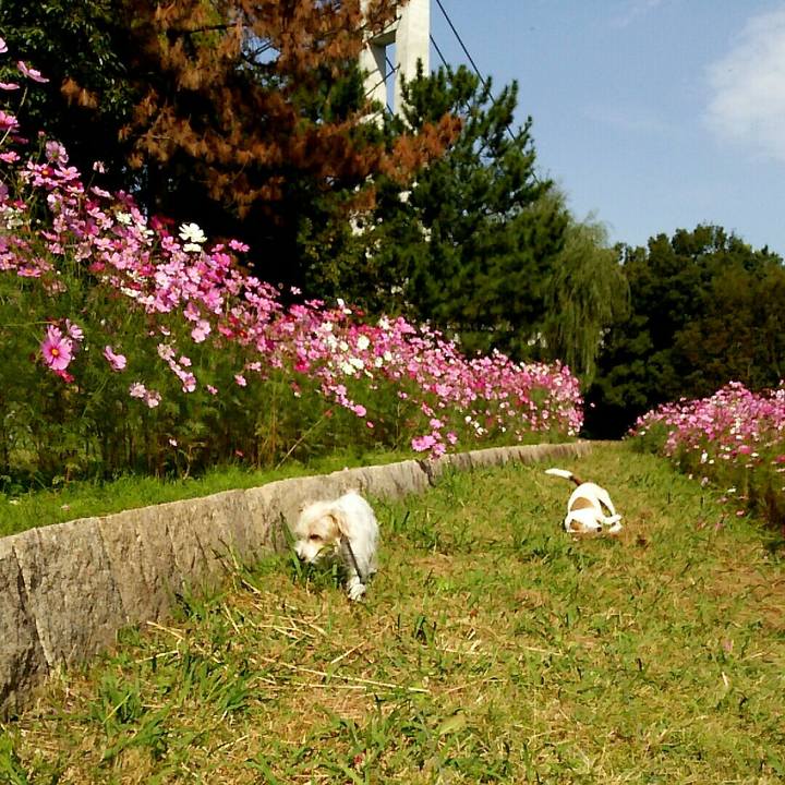 5b363d49 d123 405f bc0c 94a7fbf10b9d