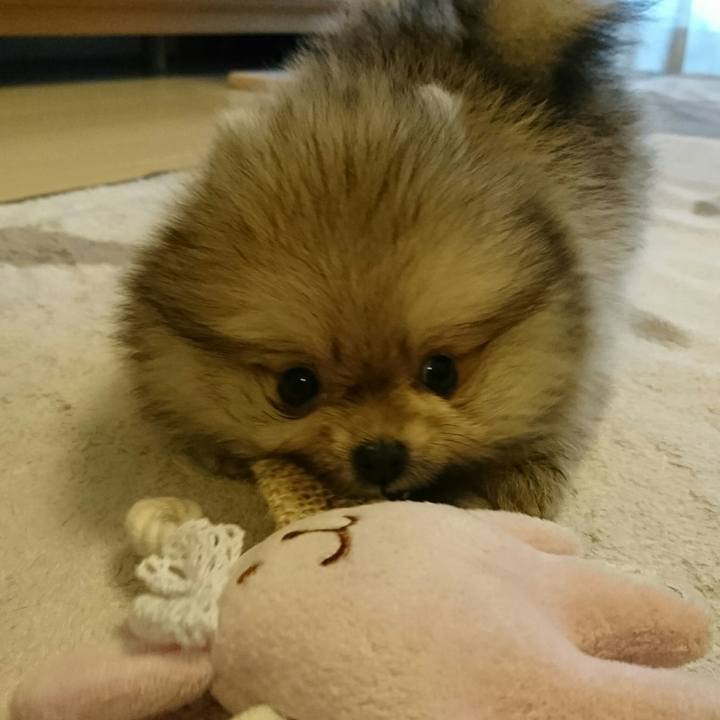 5b36c9e4 c8fe 4a8f 9091 b6874ccbf66a