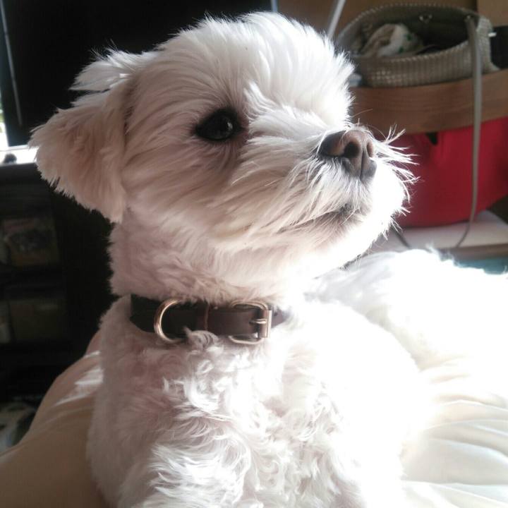 5b36e696 f797 4475 bf1f ace2f5cb07c9