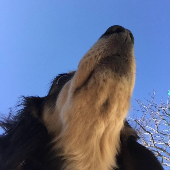 5b371cf5 820f 4b8c afd1 4f28918765b1