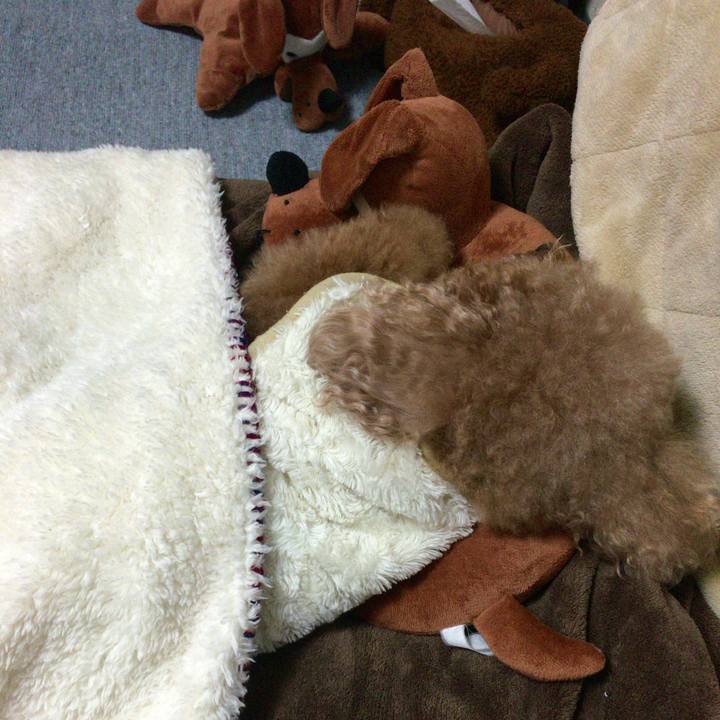 5b374365 bfc4 4c45 a731 9335925c1e25