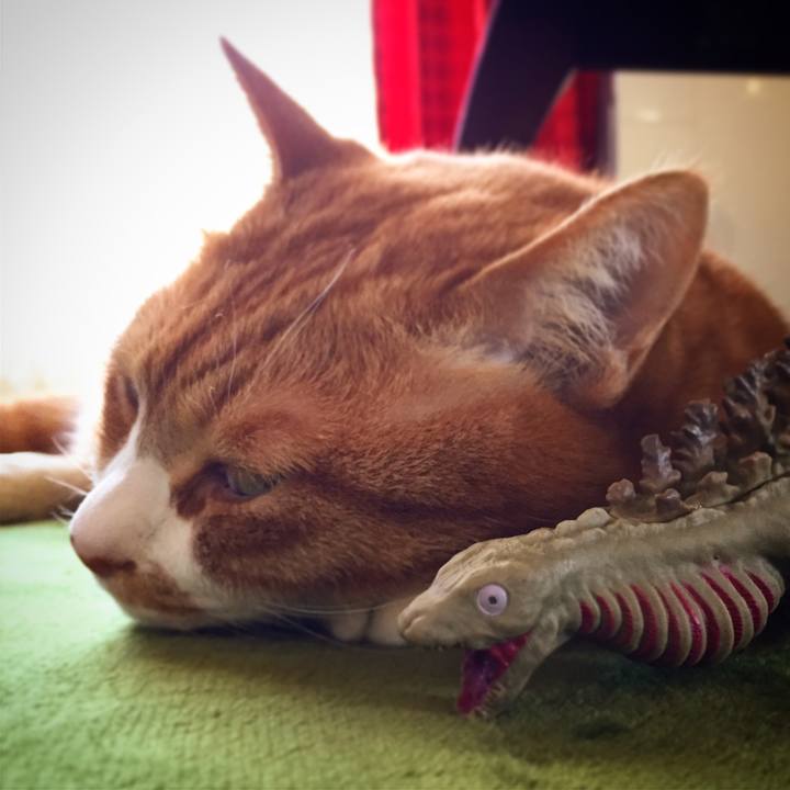 5b37d521 44a0 42a7 ac28 3264c9828bfe