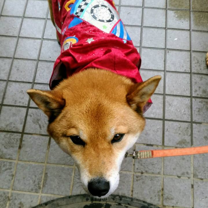 5b391d71 1c61 411f 88c6 5ecaba0e3bae