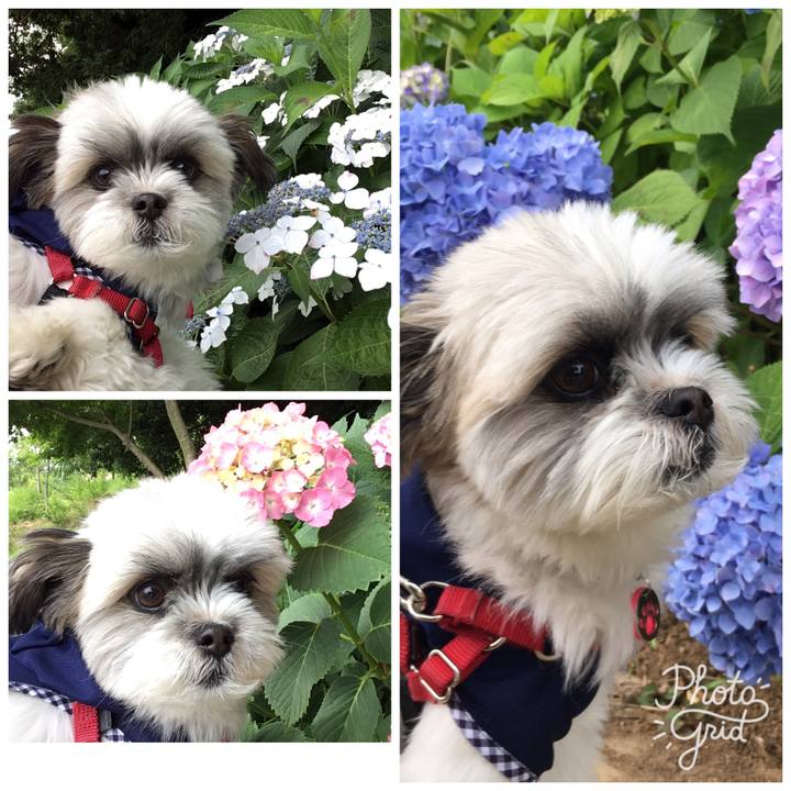 5b39c486 4a23 469e be25 78367ec80c79