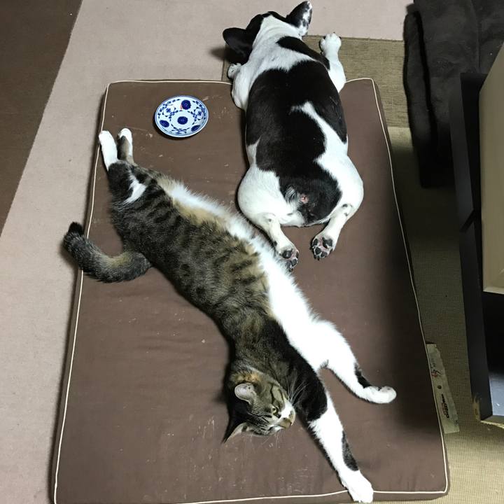 5b39c990 c8a8 42e8 996a 772f88af809a