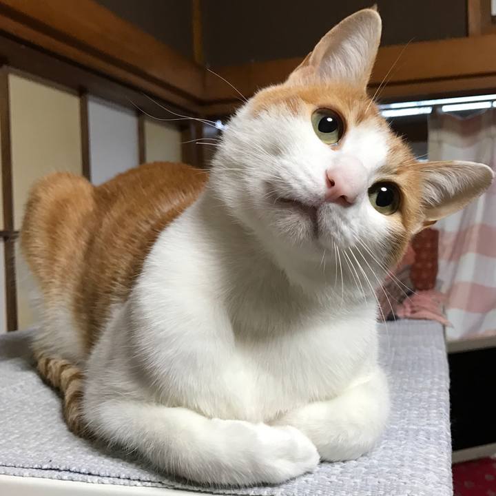 5b39d7df 73a3 4e4c ab39 bb57390abfb0