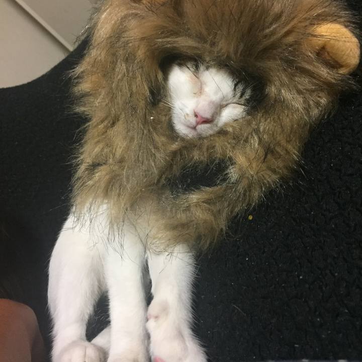 5b39e932 e63a 4f5e 8376 d7c20a95776d