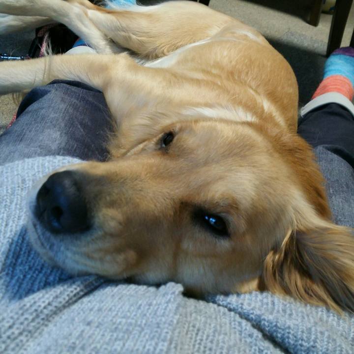 5b3a8c53 702f 4e83 8ec9 9c5702340853