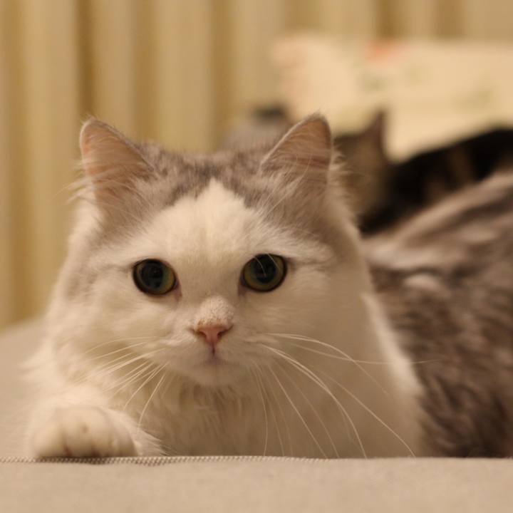 5b3aa3b7 ff24 4db6 8c6e fe0692b27dc7