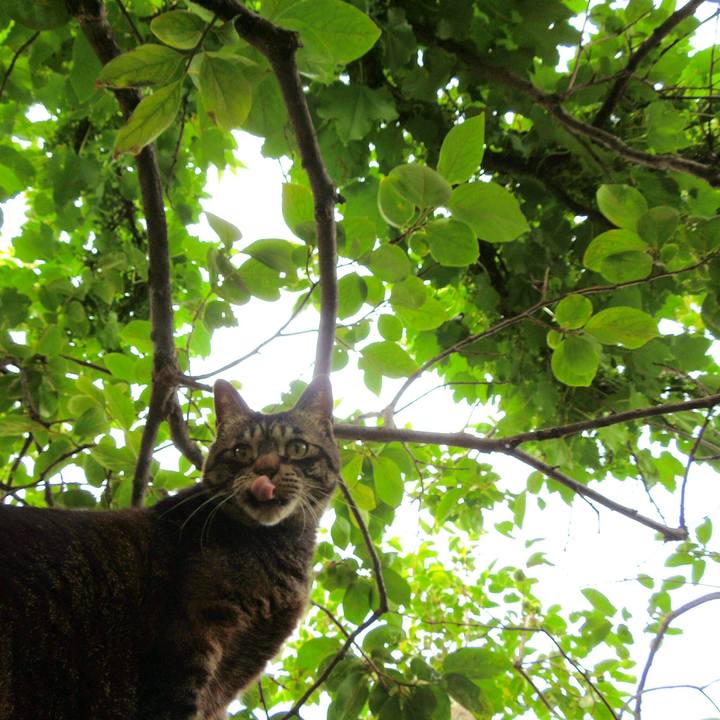 5b3ad4eb c795 475c 8c42 07b71f4b5380