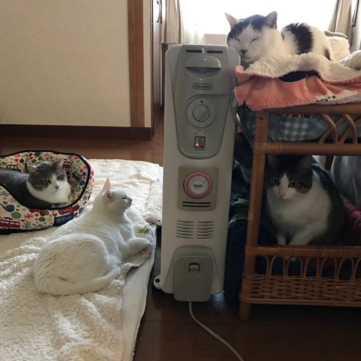 5b3b29ca e0d7 4963 9bd1 c48628718542