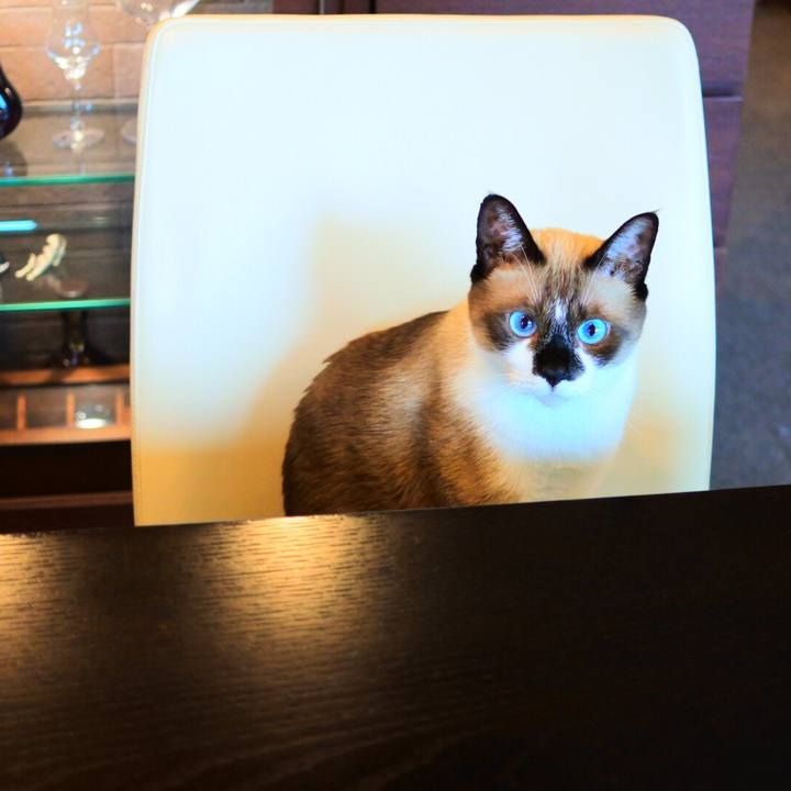 5b3bd598 75fd 4b04 a19e de5cb783075c