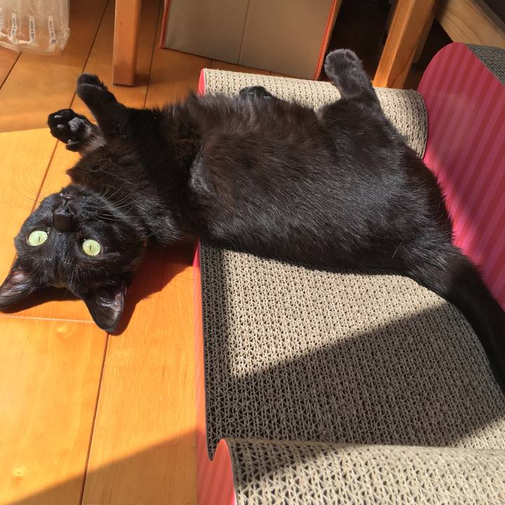 5b3c3523 acfe 40fc af35 00fb58d3e7a5