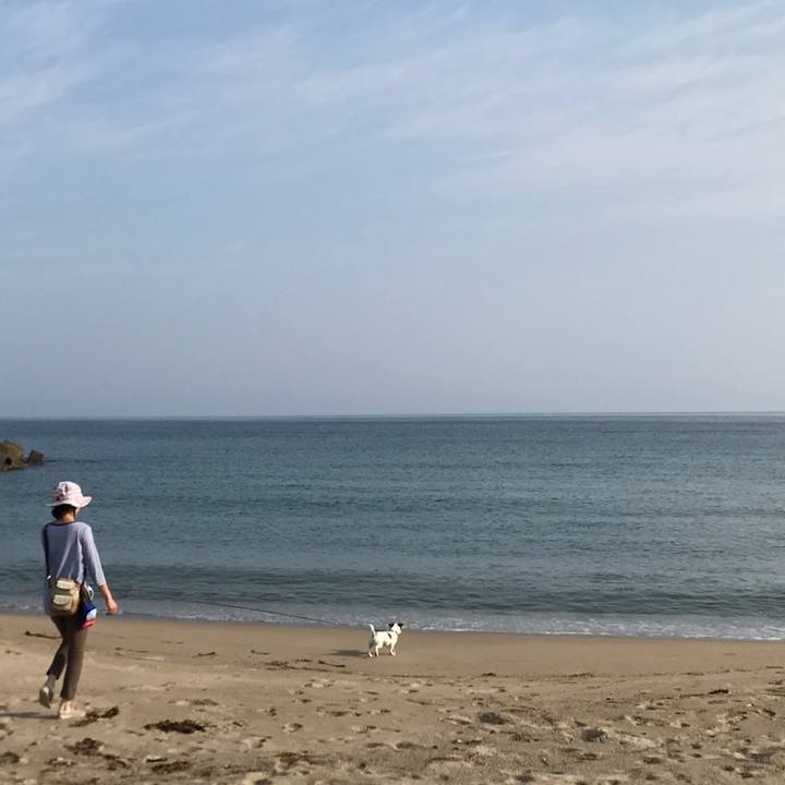 5b3c4760 68fc 4a4b 99ec 8b23e54edfb8