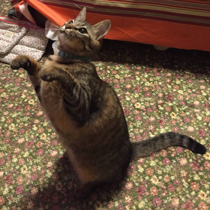 5b3d2806 515c 4816 bdad 07440d697873