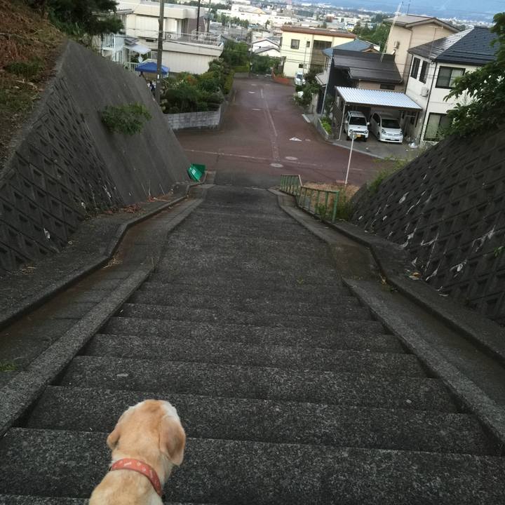 5b3d356e 80fe 4e15 a4c2 883c1eb6fff9