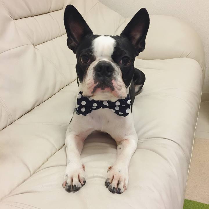 5b3e3427 6d07 40f5 bf28 93b8fd5be367