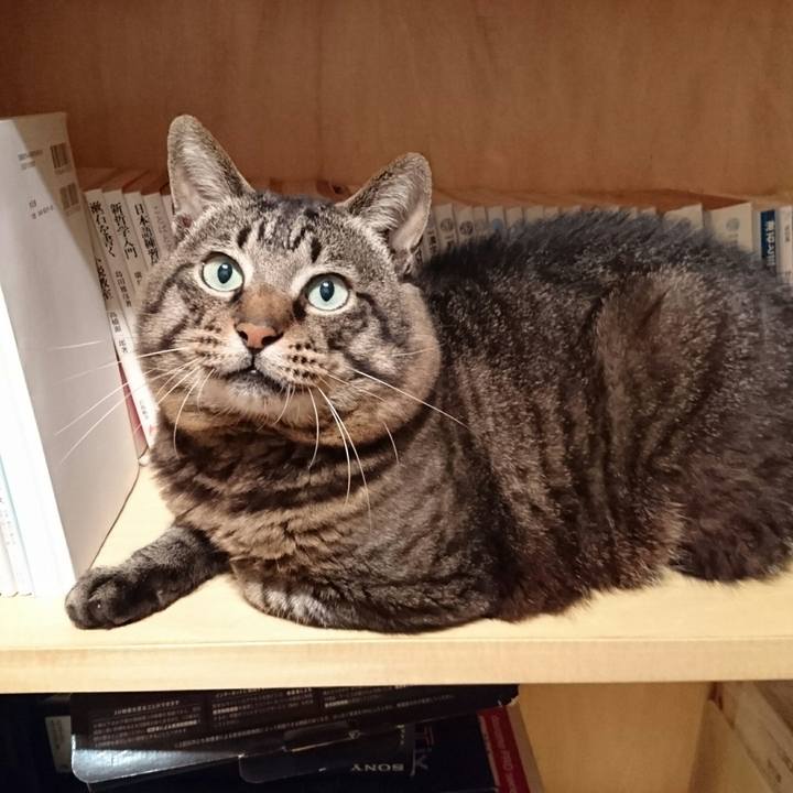 5b3e85f8 ad41 4989 9252 3dc8b7181d98