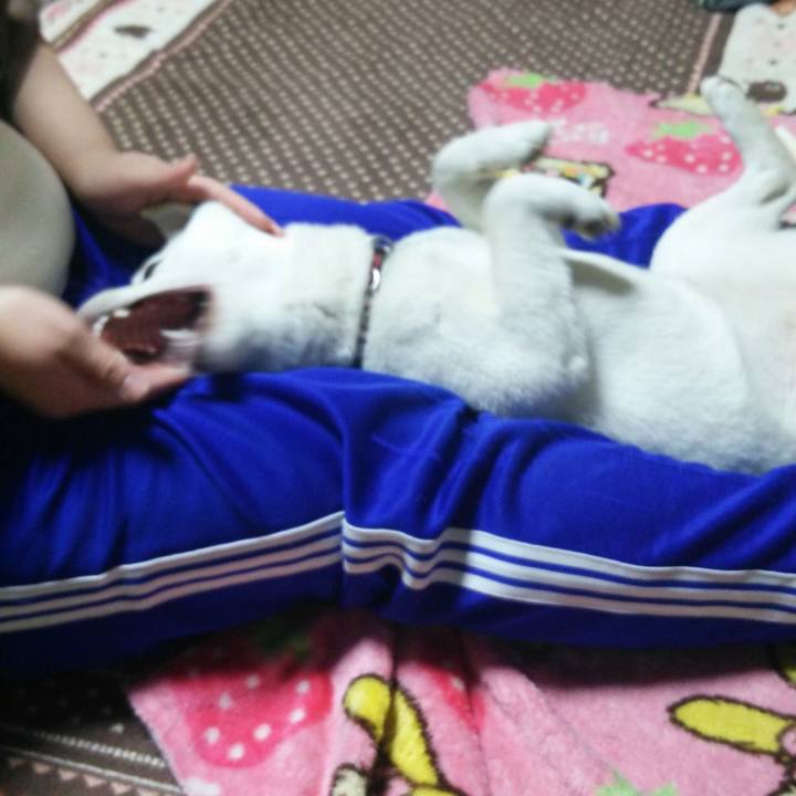 5b404d6a 0324 43ab 8f34 fc3191673483