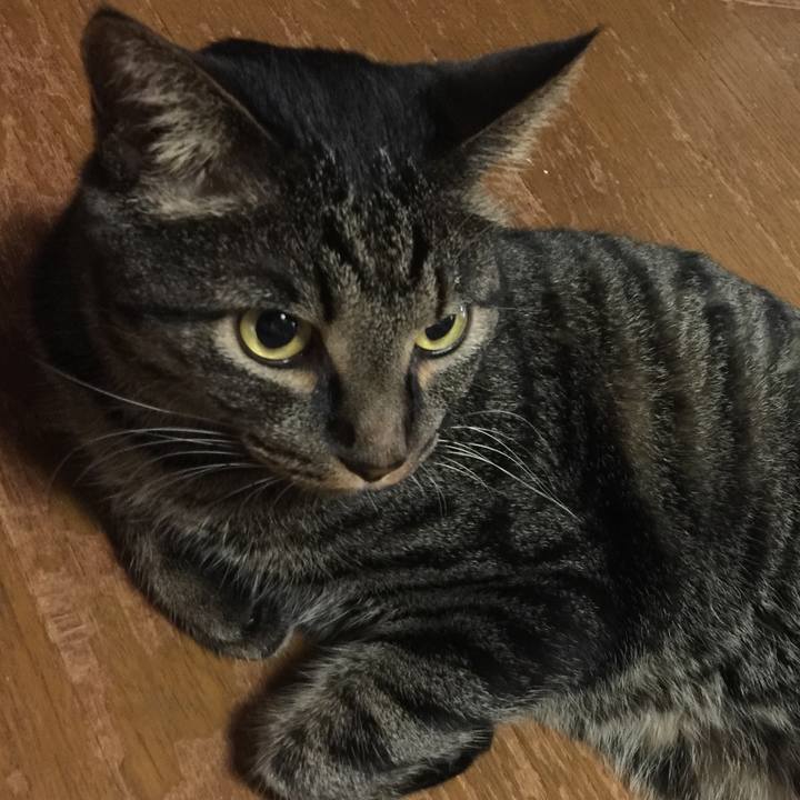 5b405621 65aa 4814 9a55 578ca5f6a2b5