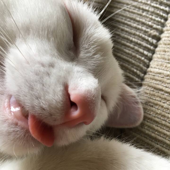 5b417a93 d05e 41c1 b231 3ca33deda790