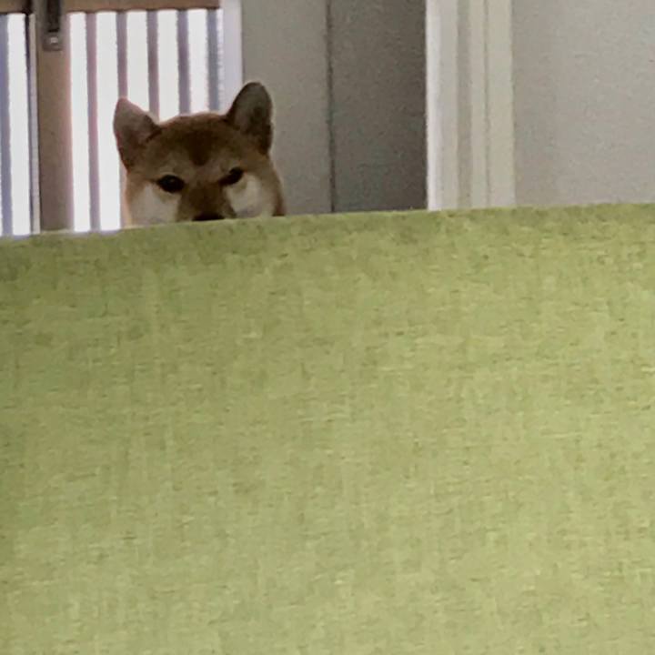 5b419745 e967 4eba 81b0 3d749f749c77