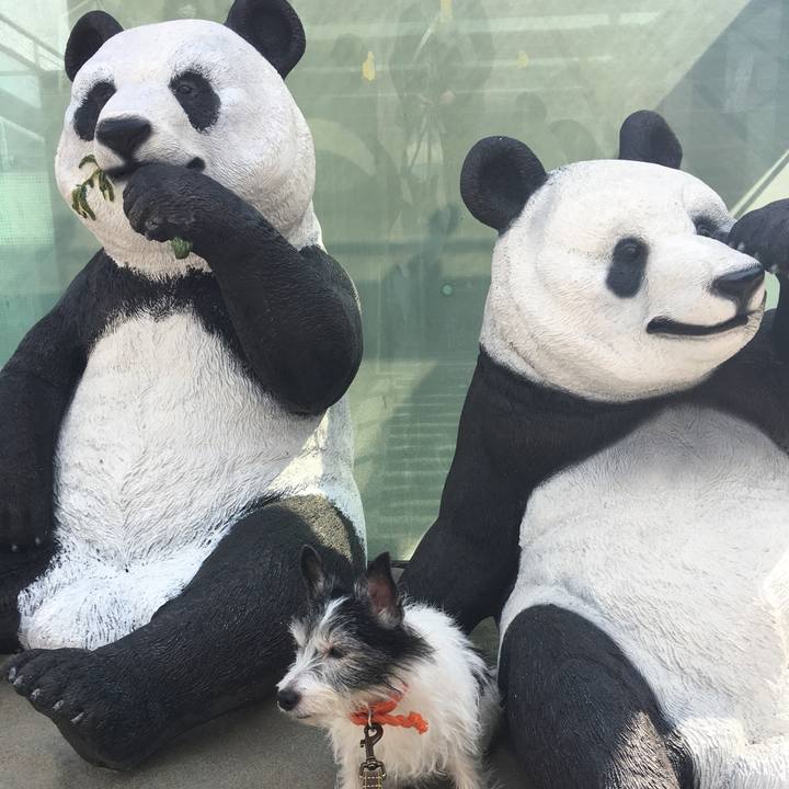 5b420c58 a697 47e0 9e72 1cfed85ae366