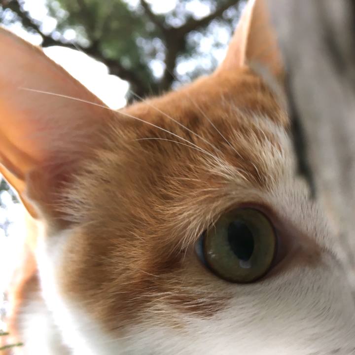 5b422b4e 31f3 4b64 a5a7 b6dbbf290382