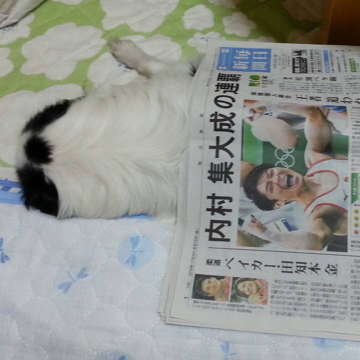 5b4234bb e586 4180 8b02 5e545e9d3e0b