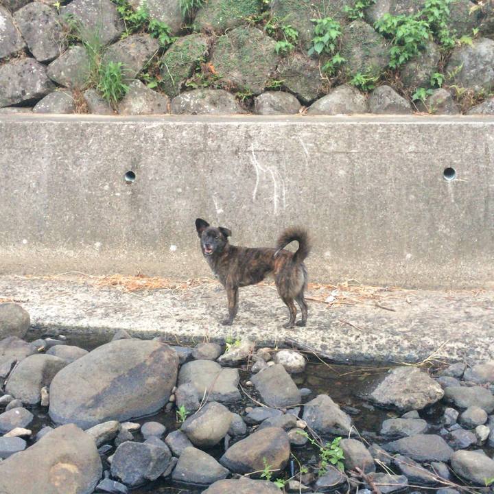 5b42f29e 09be 4e16 86c3 e9ae2046d0d5