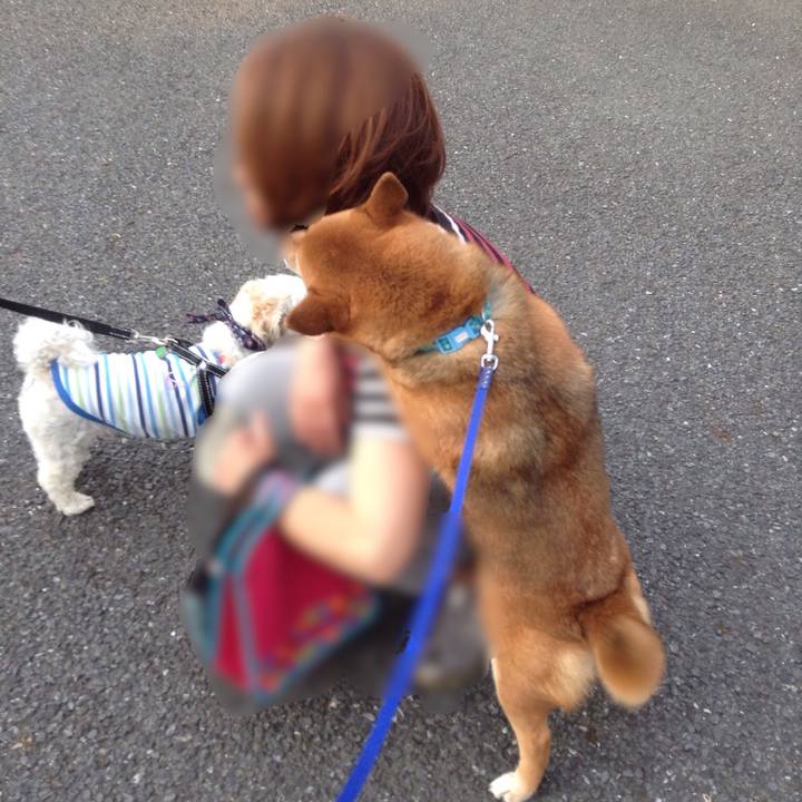 5b435ee8 702f 4d4f b06c 1f7f3d64cb94