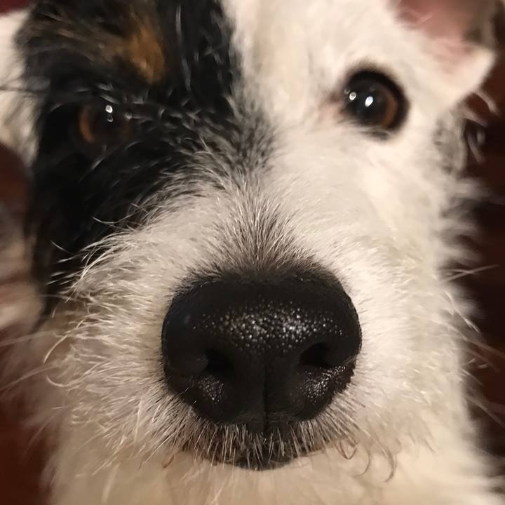 5b43f2e6 1786 4011 8f79 723818f6d904